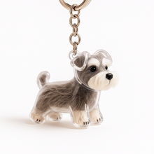 Rio (Chien)