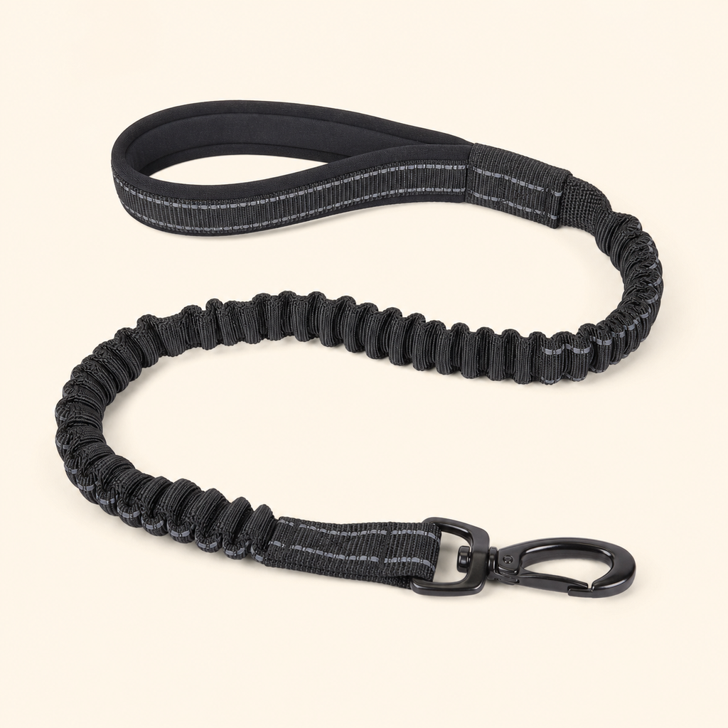 HARNAIS ANTI-TRACTION PATEO™ + Laisse premium