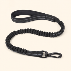 HARNAIS ANTI-TRACTION PATEO™ + Laisse premium