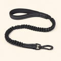Laisse anti traction