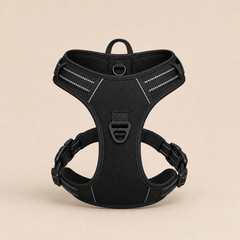 HARNAIS ANTI-TRACTION PATEO™ + Laisse premium