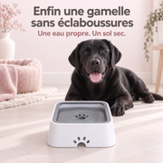 La gamelle anti-éclaboussures qui garde votre sol propre