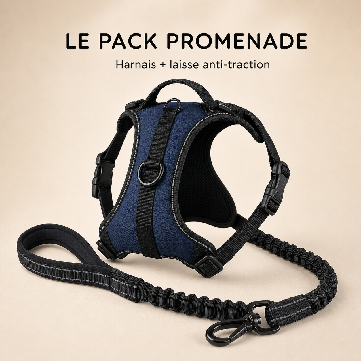 HARNAIS ANTI-TRACTION PATEO™ + Laisse premium