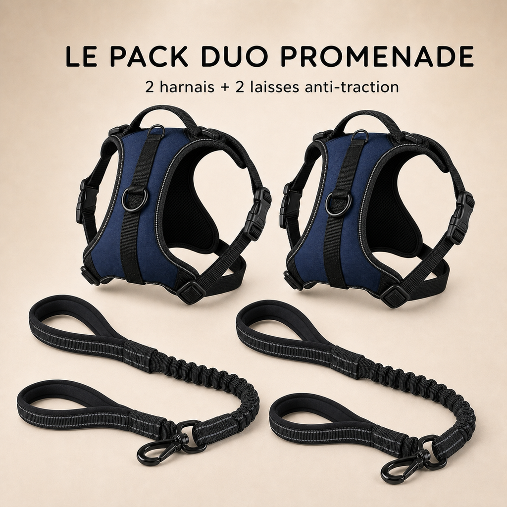 2 HARNAIS ANTI-TRACTION PATEO™ + 2 Laisses premium