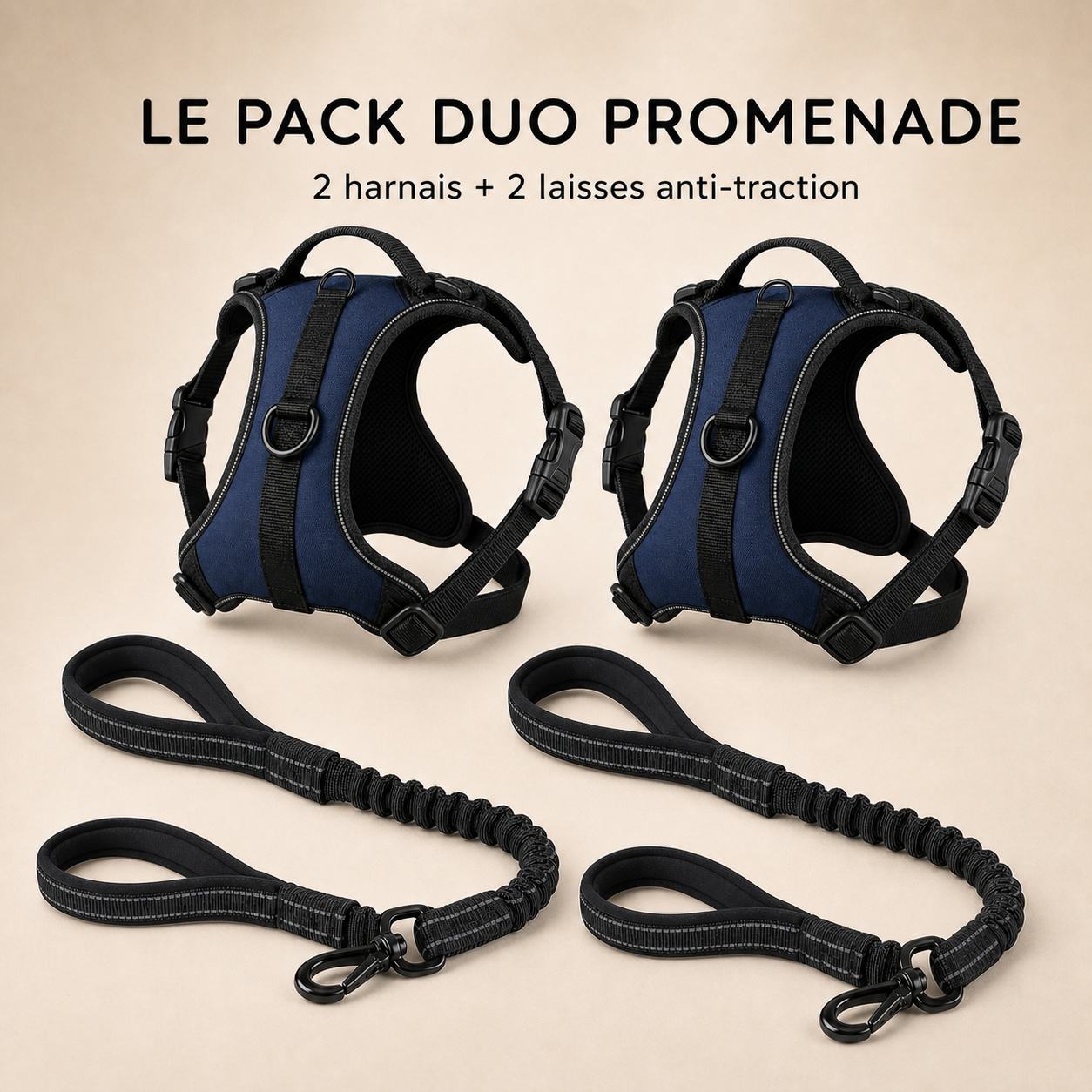 2 HARNAIS ANTI-TRACTION PATEO™ + 2 Laisses premium