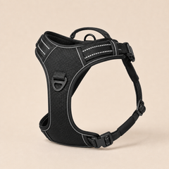 HARNAIS ANTI-TRACTION PATEO™ + Laisse premium