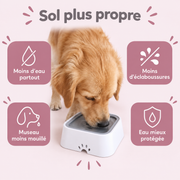 La gamelle anti-éclaboussures qui garde votre sol propre