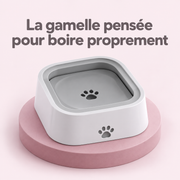 La gamelle anti-éclaboussures qui garde votre sol propre