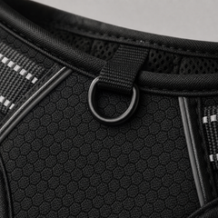 HARNAIS ANTI-TRACTION PATEO™ + Laisse premium