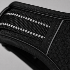 HARNAIS ANTI-TRACTION PATEO™ + Laisse premium