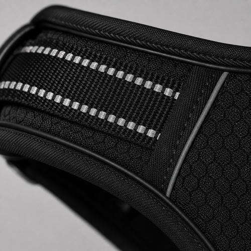 HARNAIS ANTI-TRACTION PATEO™ + Laisse premium