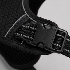 HARNAIS ANTI-TRACTION PATEO™ + Laisse premium