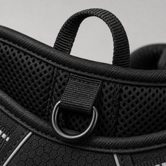 HARNAIS ANTI-TRACTION PATEO™ + Laisse premium
